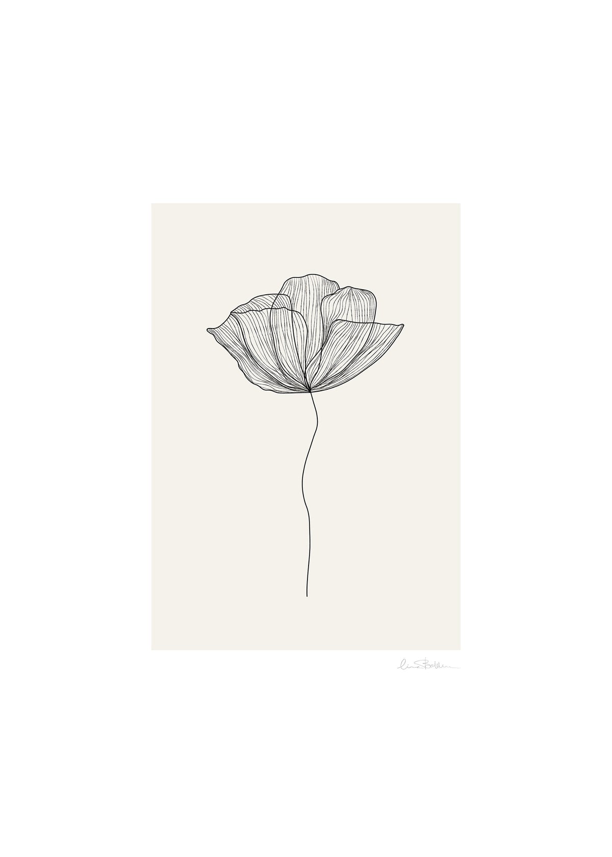 Poppy poster