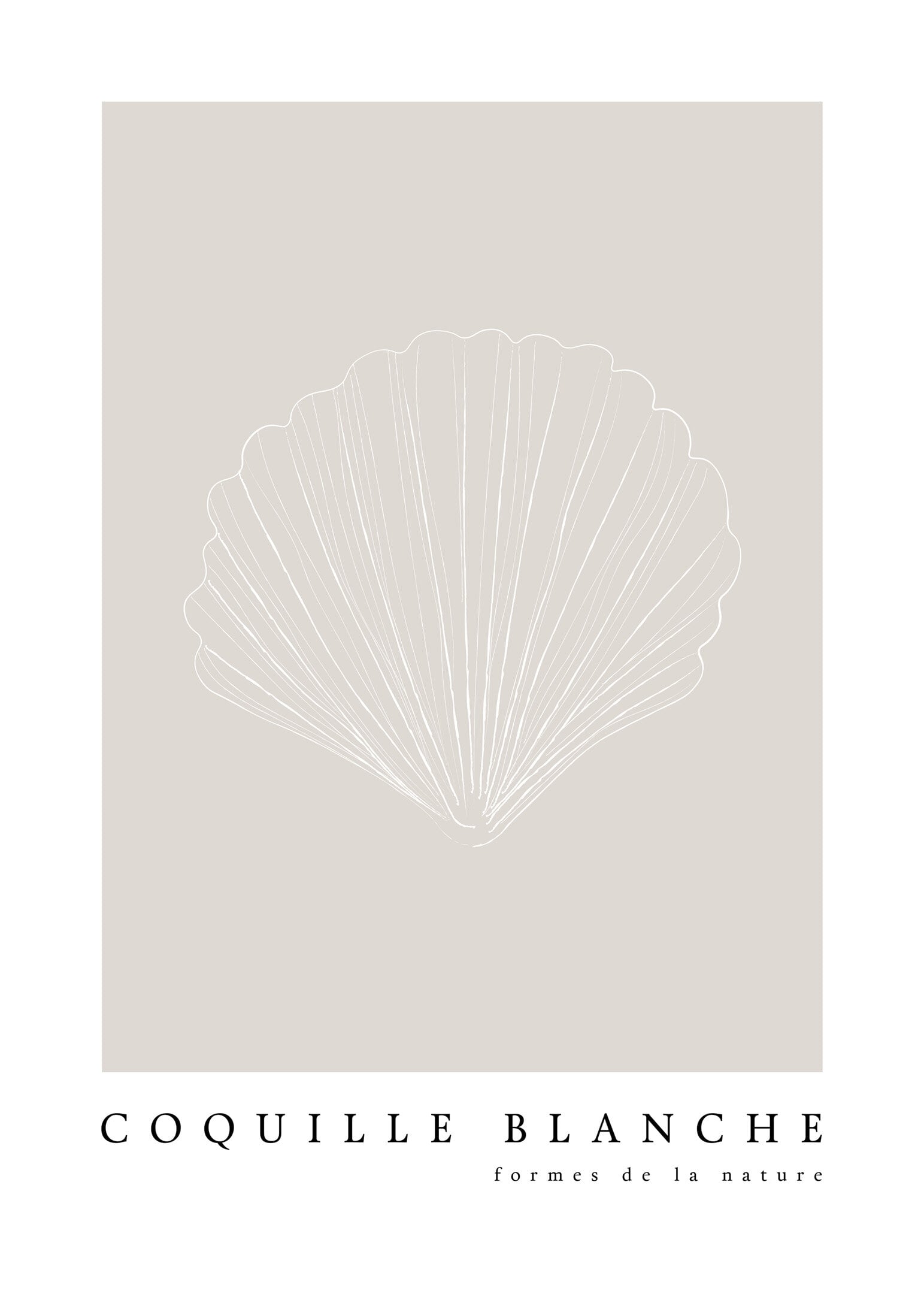 Strandsnäcka mörk poster