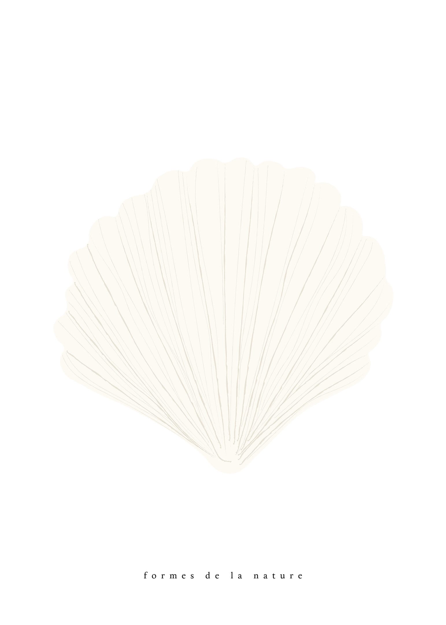 Conch shell white poster