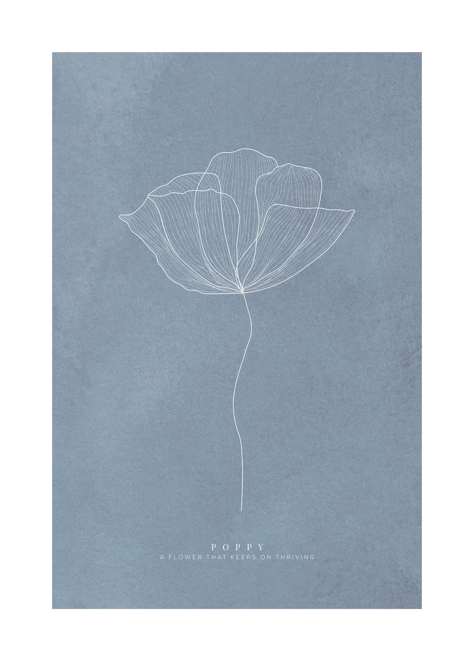 Poppy dark blue poster