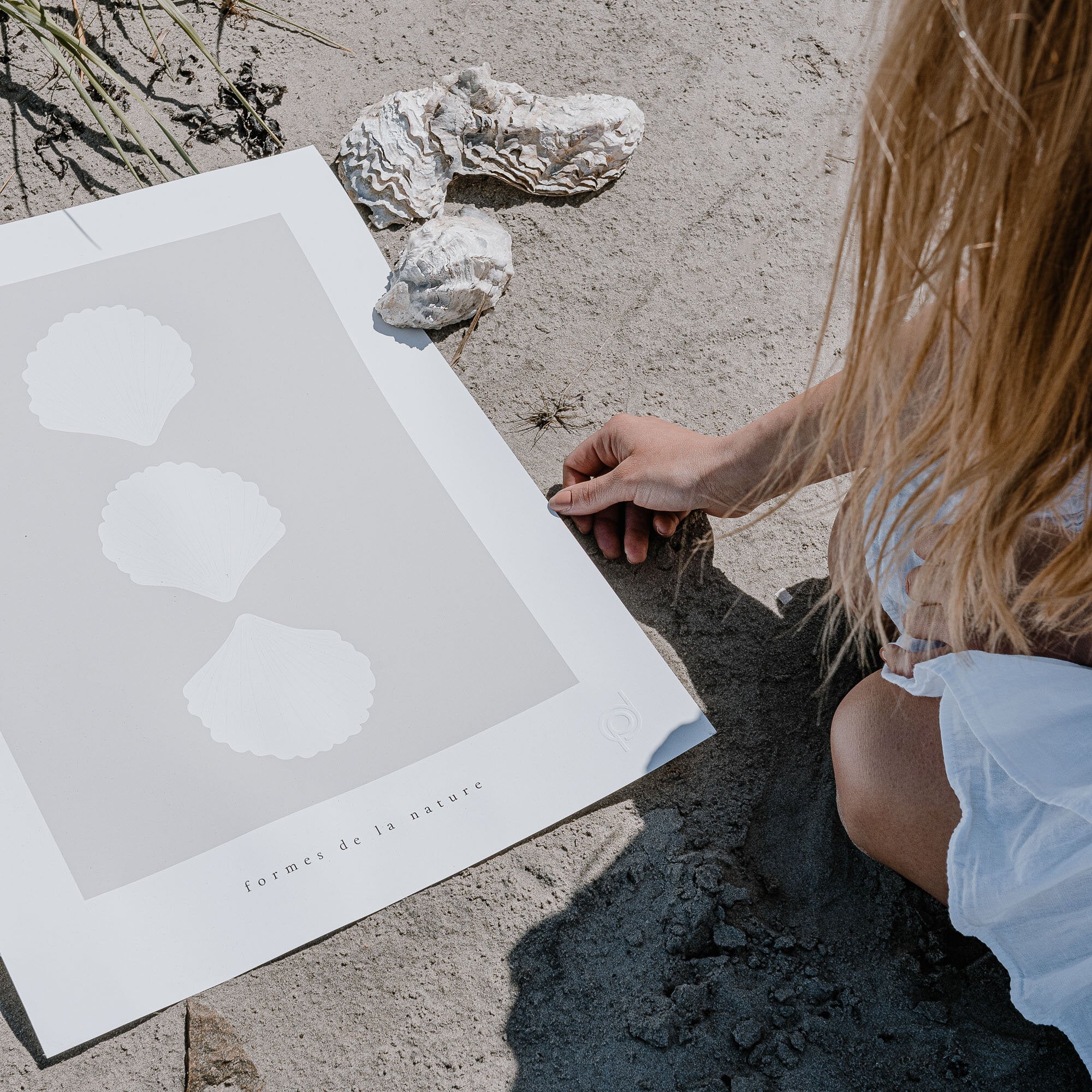 Shells in row poster