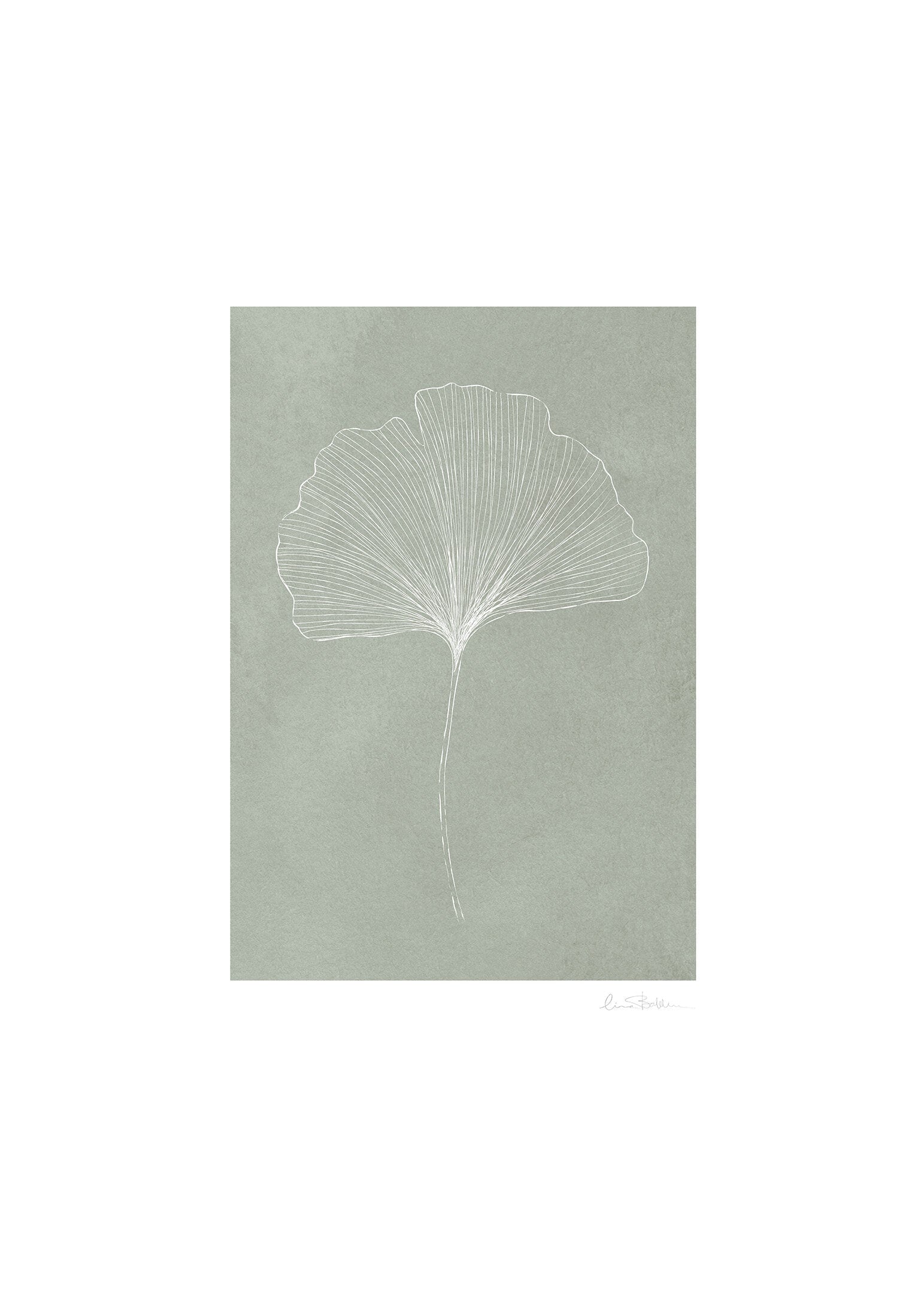 Ginkgo green poster