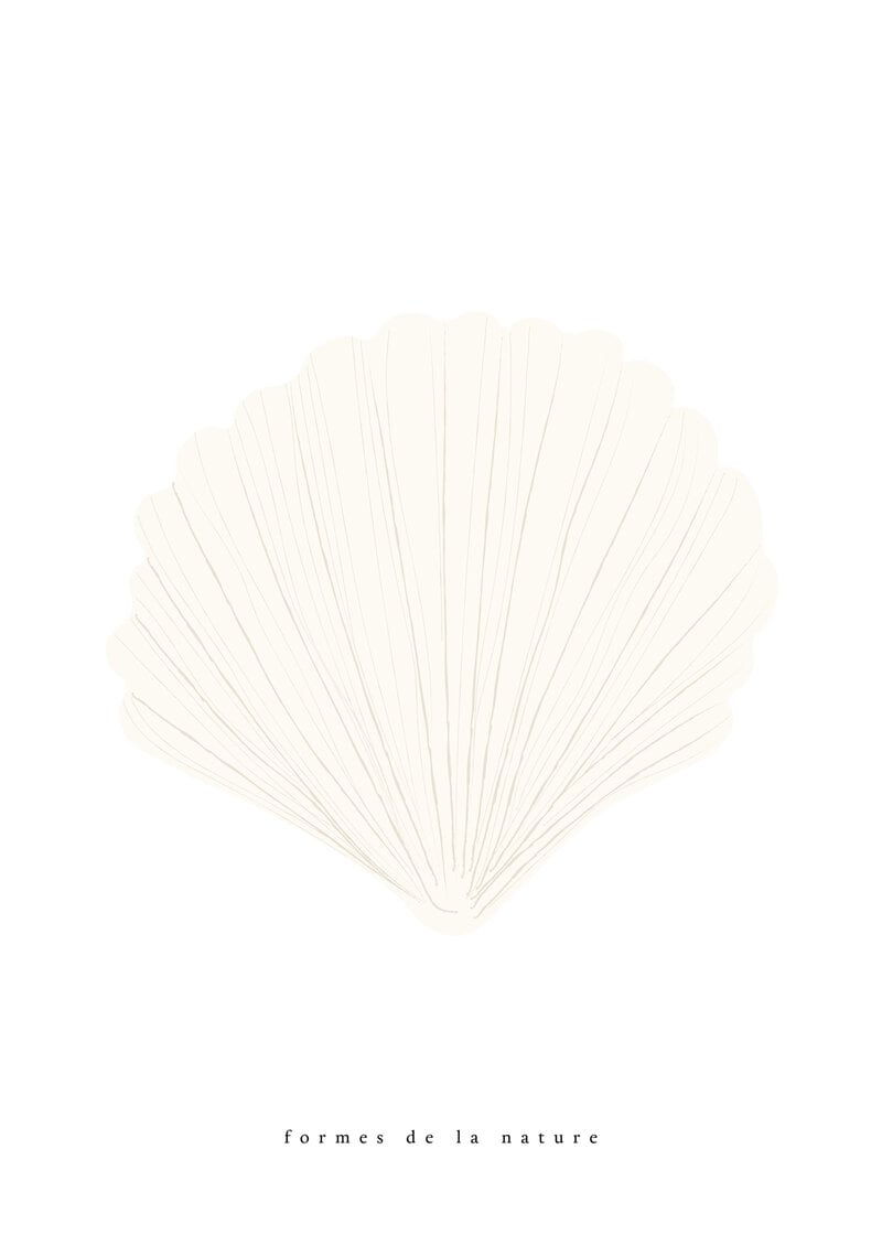Conch shell white poster