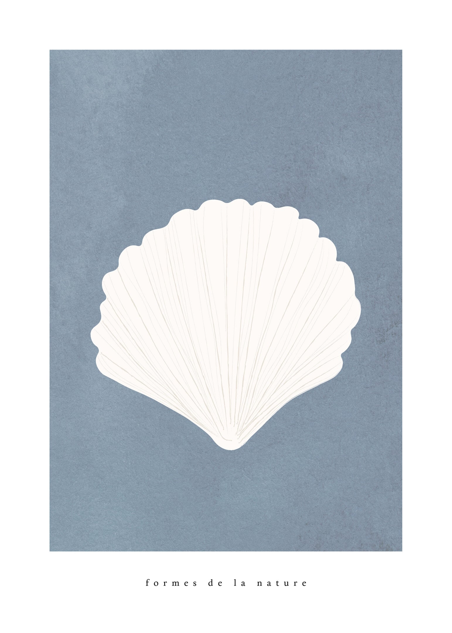 Conch shell poster