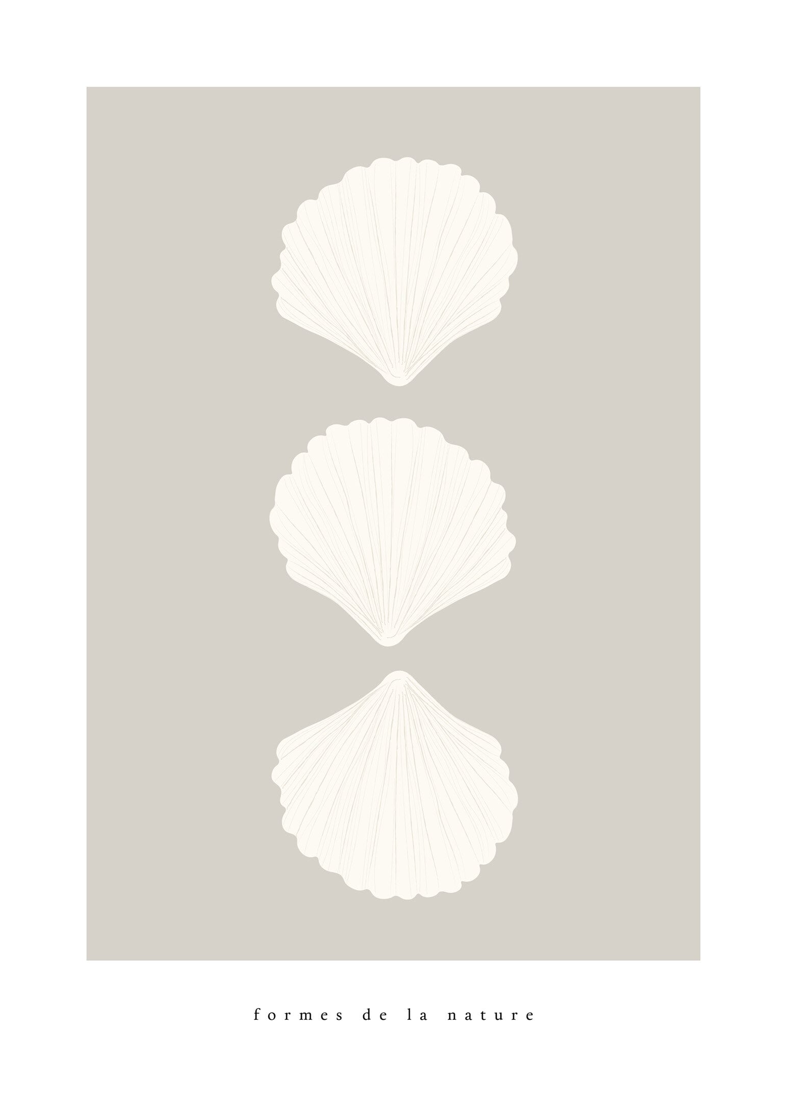 Shells in row poster